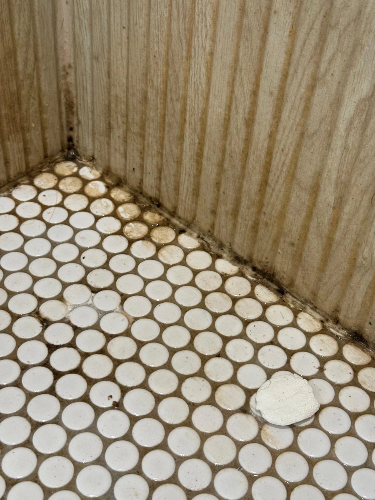 shower-floor-01 (2)