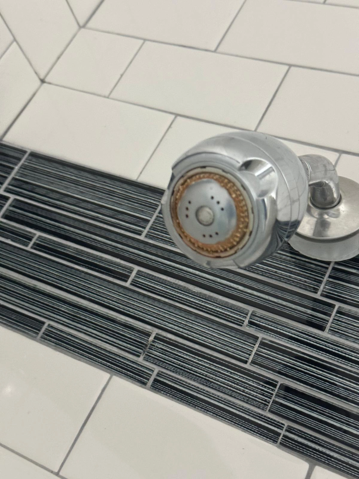 shower-head (2)
